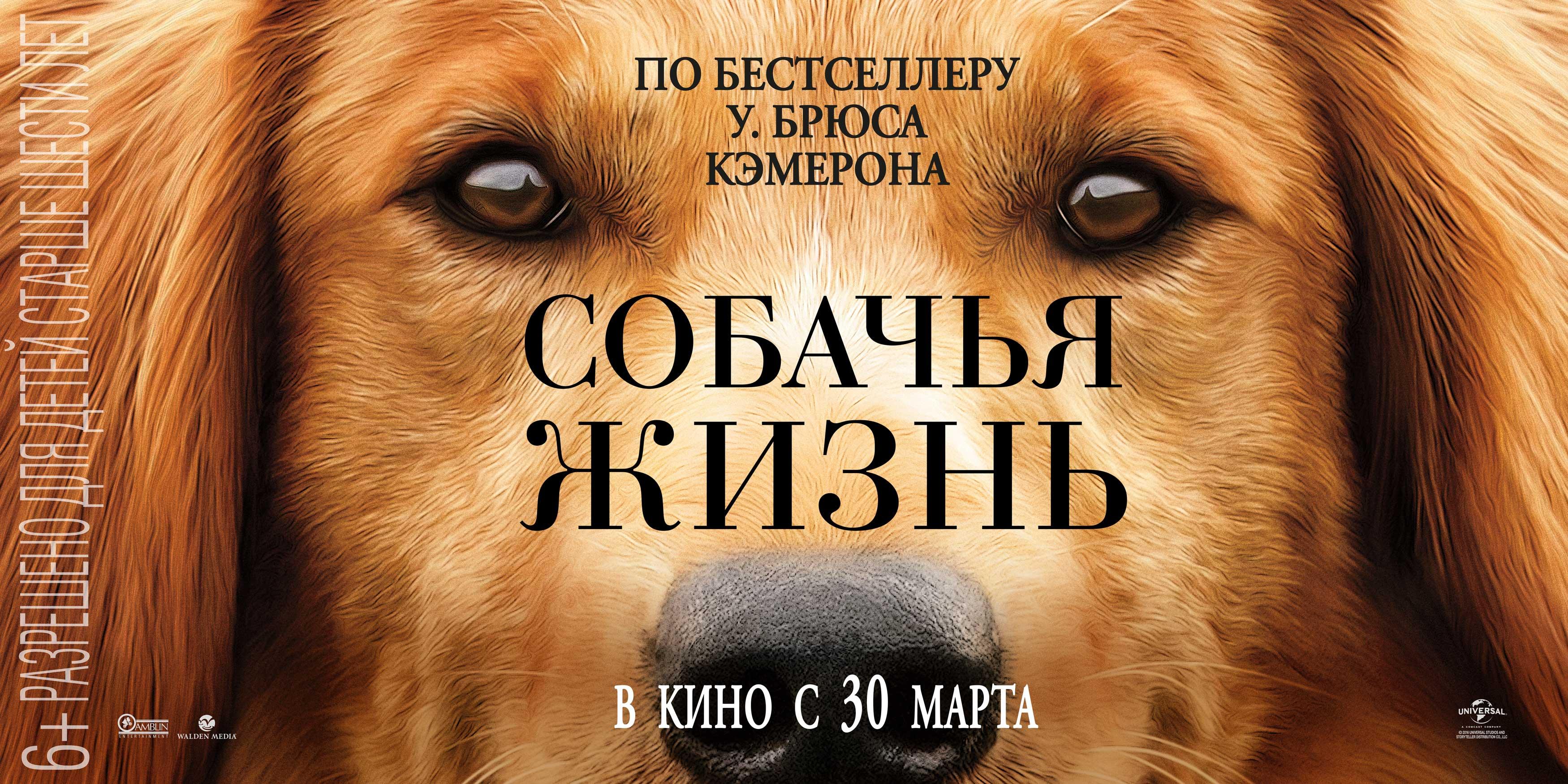 luchshiye filmi