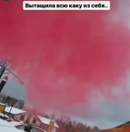 barzikov i polygalova