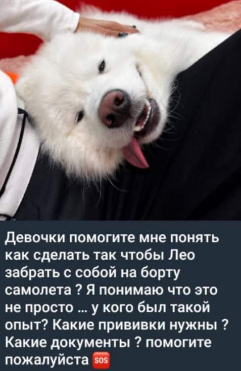 liberzh chelovek goda dom 2